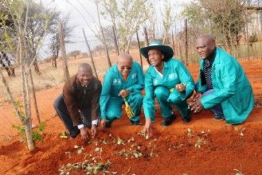 Arbor day 2