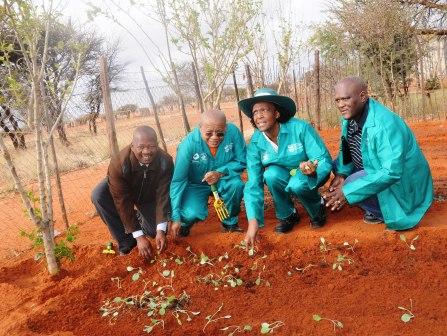 Arbor day 2