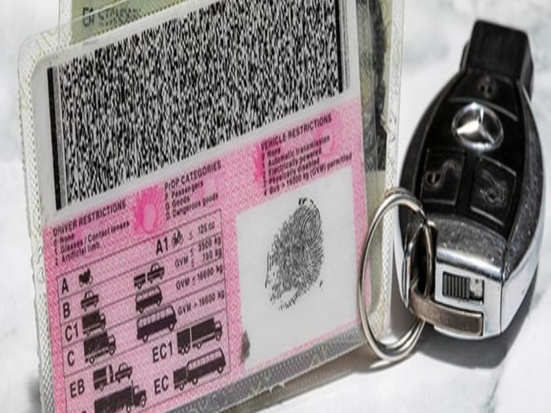 Driving licence
